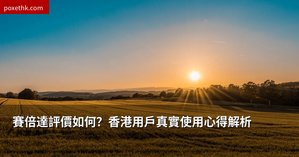 賽倍達評價如何？香港用戶真實使用心得解析