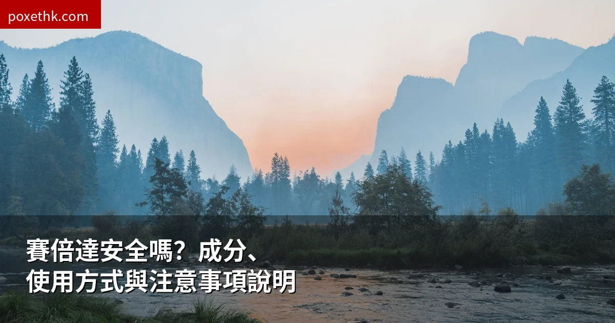 賽倍達安全嗎？成分、使用方式與注意事項說明